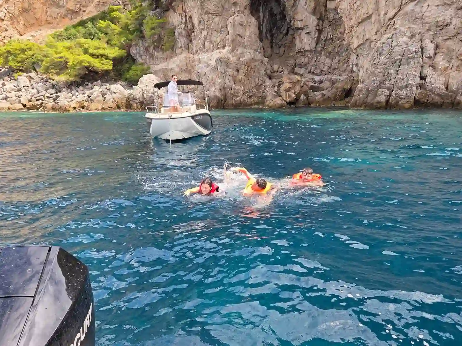 Dolphin Watching in Dubrovnik: When & Where to Spot Them